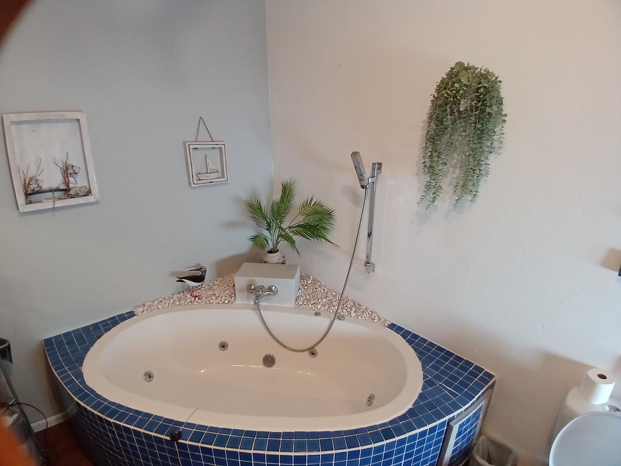 Ons Stee Bed And Breakfast Веллінґтон Екстер'єр фото